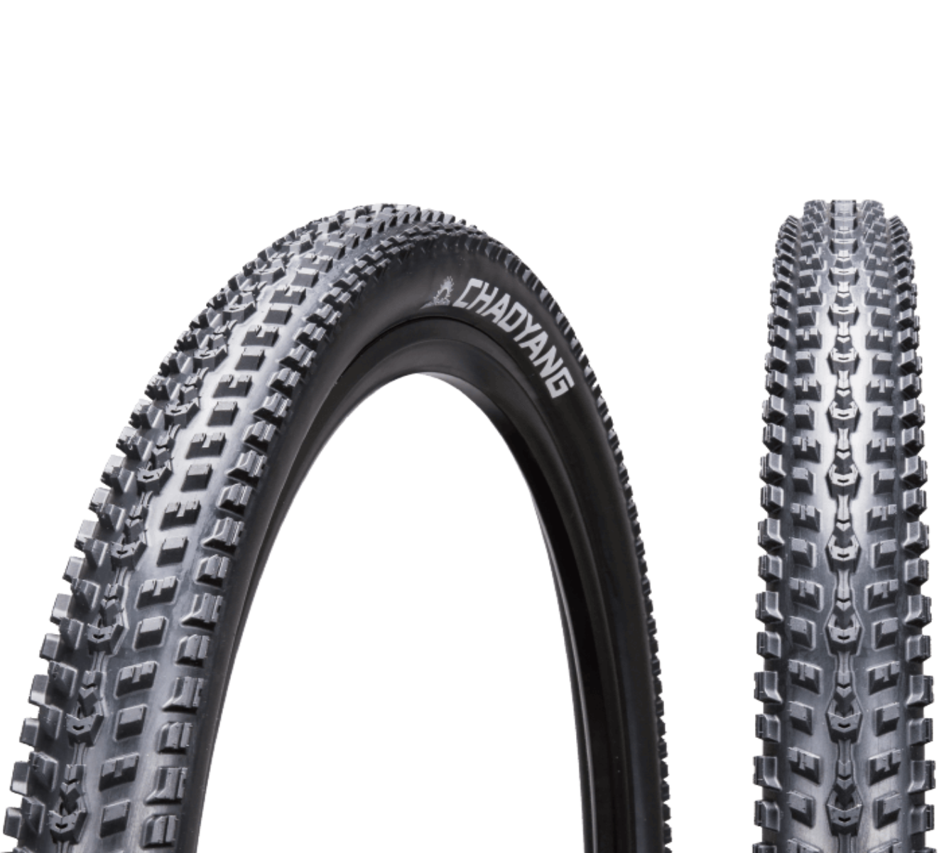 Chaoyang Fast Lane Fb Sps 29X2.25 60Tpi